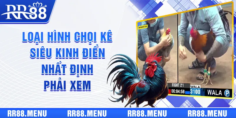 3 loại hình chọi kê siêu kinh điển nhất định phải xem