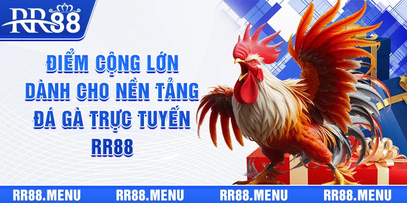 Điểm cộng lớn dành cho nền tảng đá gà trực tuyến RR88